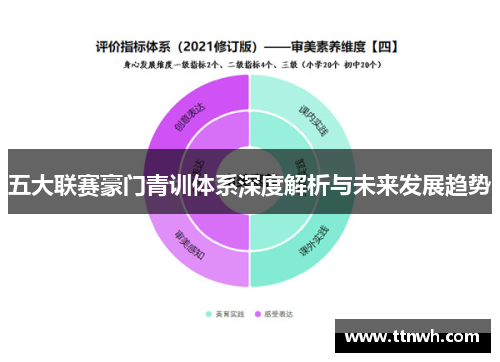 五大联赛豪门青训体系深度解析与未来发展趋势
